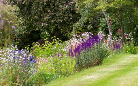 Northern Scotland Garden - 4